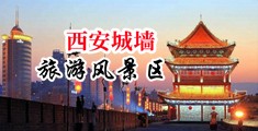 男生女生插逼视频91中国陕西-西安城墙旅游风景区
